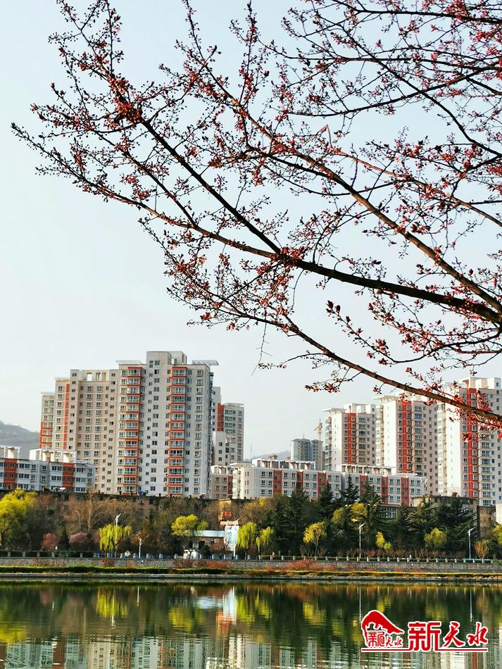 春天，古城天水的十個美麗瞬間