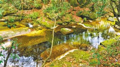甘肅旅游丨八福溝，西秦嶺深處的水韻秘境