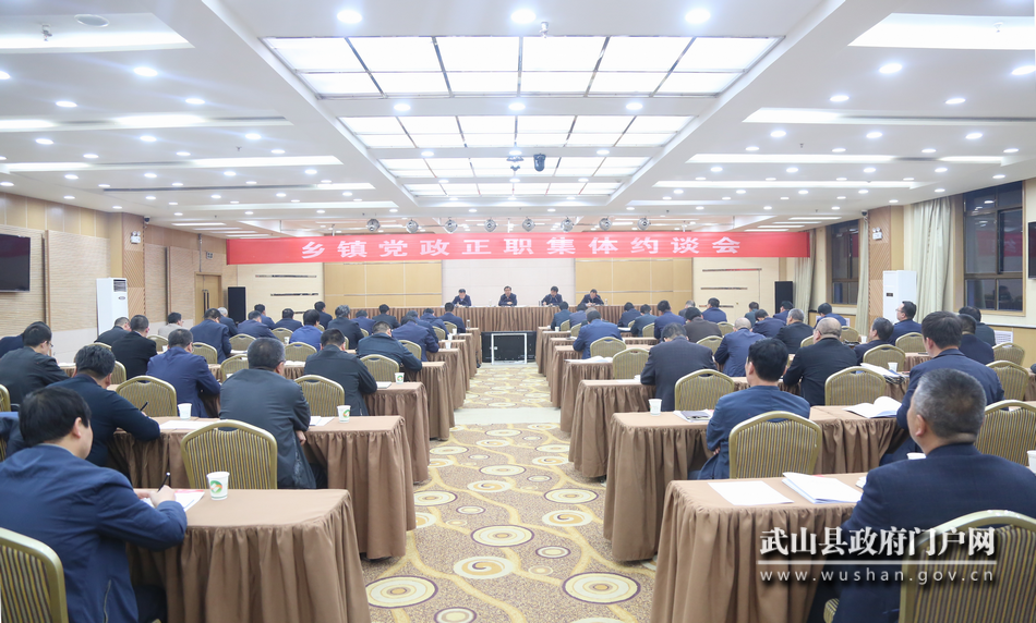 武山縣突出“快、細、實、嚴”全力推進抓黨建促決戰(zhàn)決勝脫貧攻堅問題排查清零