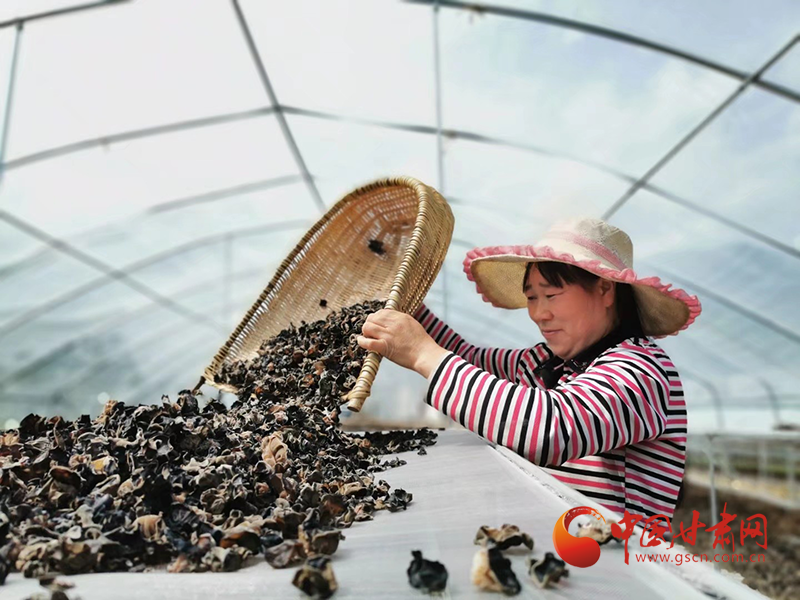 康縣：木耳菌袋結(jié)出脫貧致富的“幸?；ā?>
        </a><em>康縣：木耳菌袋結(jié)出脫貧致富的“幸福花”</em></li>
    <li><a  target=