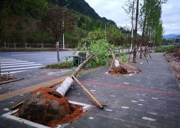 刮風(fēng)下雨加速新冠病毒傳播？別信！