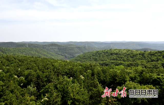 【甘肅生態(tài)環(huán)保媒體行】子午嶺深處，一家三代人用生命守護(hù)黃土高原的“天然生態(tài)屏障”