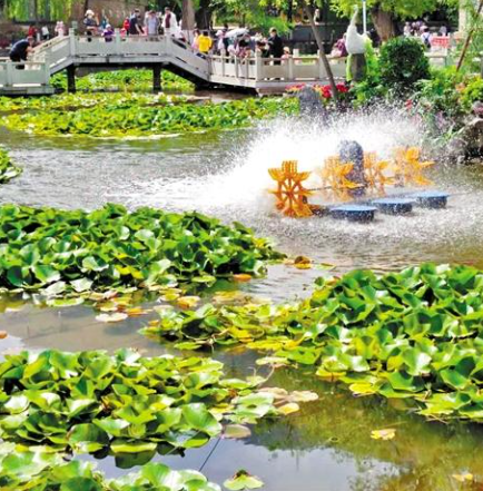 走，到五泉山公園看花展去