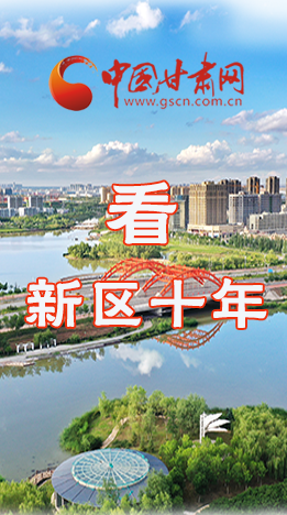 圖解|崛起！新區(qū)十年