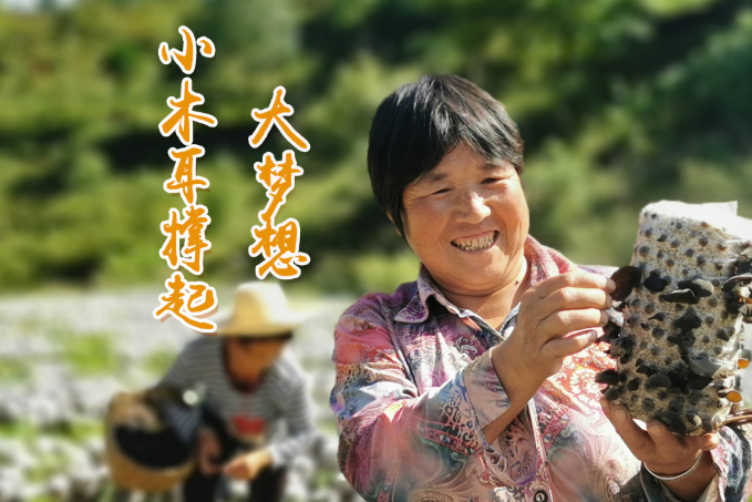 海報(bào)丨他們，乘“豐”破浪！