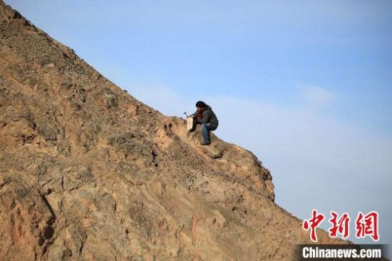 圖為敦煌“80后”畫家張杰龍在敦煌三危山里采集礦石顏料。(資料圖)受訪者供圖