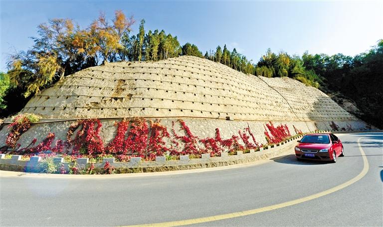 近90度陡坡上種樹！蘭州南北兩山綠化出新招