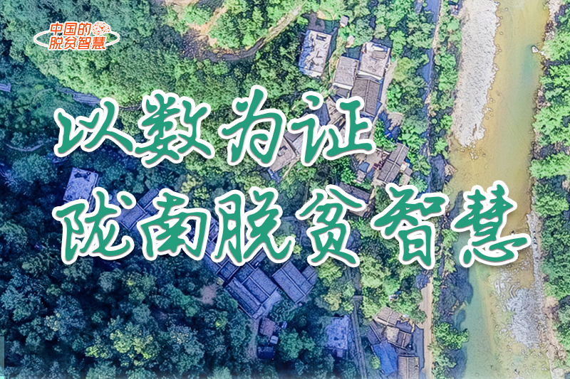 【中國(guó)的脫貧智慧】以數(shù)為證！隴南脫貧智慧來(lái)了！