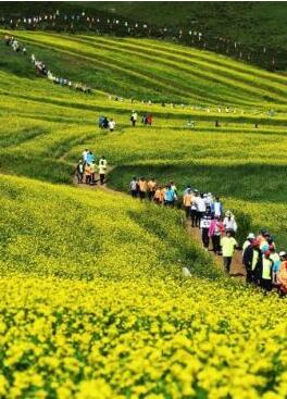 甘肅明確農(nóng)民進城落戶:不以退出承包地、林地等為條件