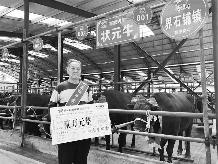 120頭“平?jīng)黾t?！膘o寧爭霸