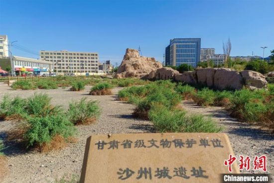 圖為沙州郡城遺址公園古遺址。　王斌銀 攝
