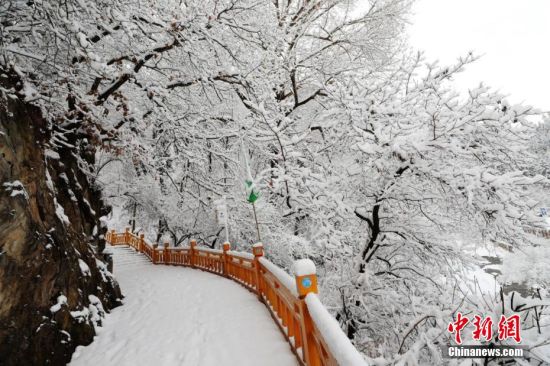 圖為上山的石階被雪覆蓋。張?zhí)鞂?攝