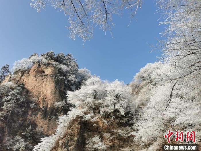 圖為藍(lán)天下霧凇籠罩山脈。　徐振華 攝