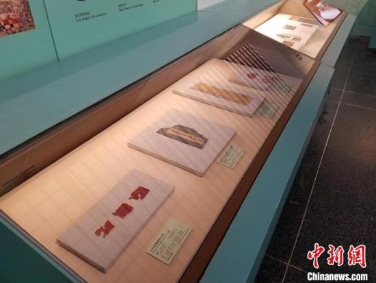 圖為展覽現(xiàn)場(chǎng)?！《鼗脱芯吭汗﹫D
