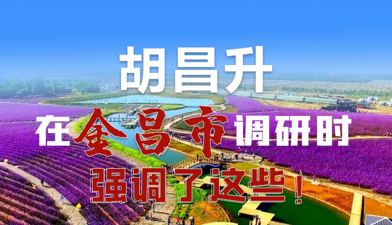 圖解|胡昌升在金昌市調(diào)研時強調(diào)了這些！