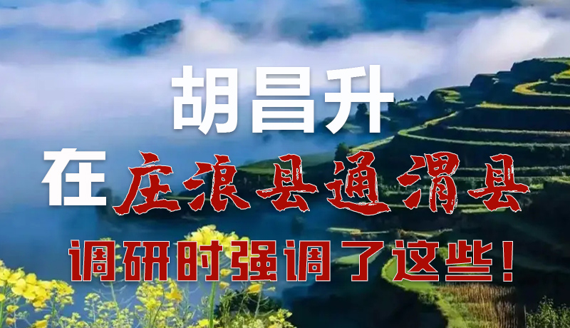圖解|胡昌升在莊浪縣通渭縣調(diào)研時強調(diào)了這些！