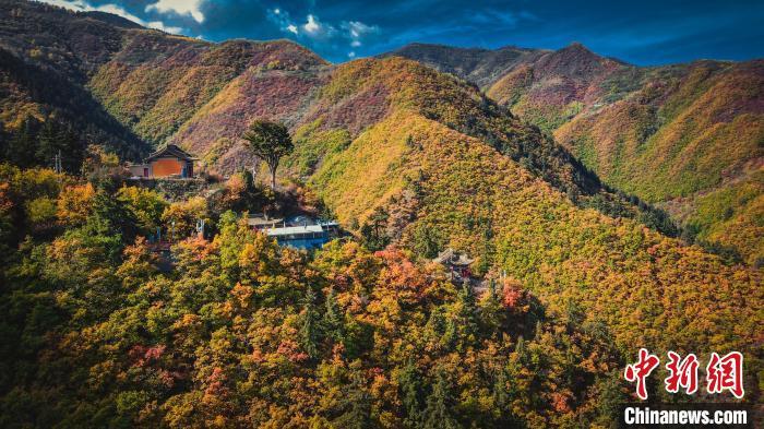 深秋，位于蘭州市榆中縣的興隆山，似打翻調色板。金峯 攝