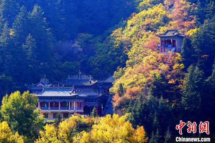 深秋，位于蘭州市榆中縣的興隆山景色如畫。宮衛(wèi)紅 攝