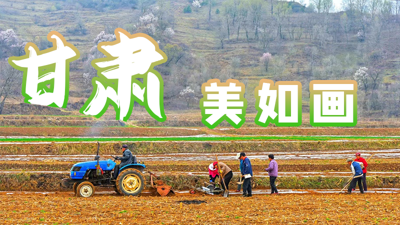 微海報|甘肅，美如畫