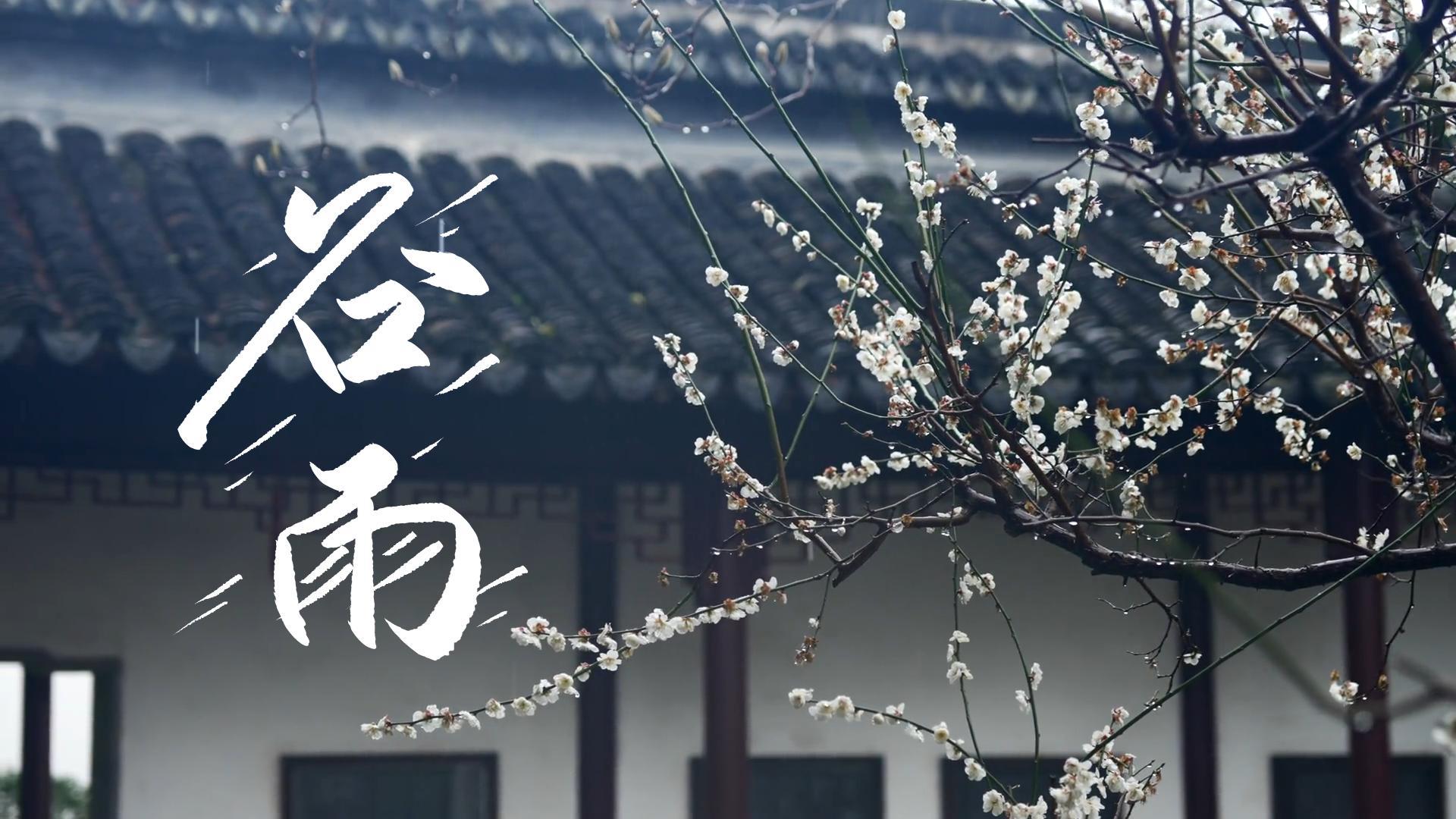 【節(jié)氣里的大美甘肅】谷雨，春天的最后一次回眸