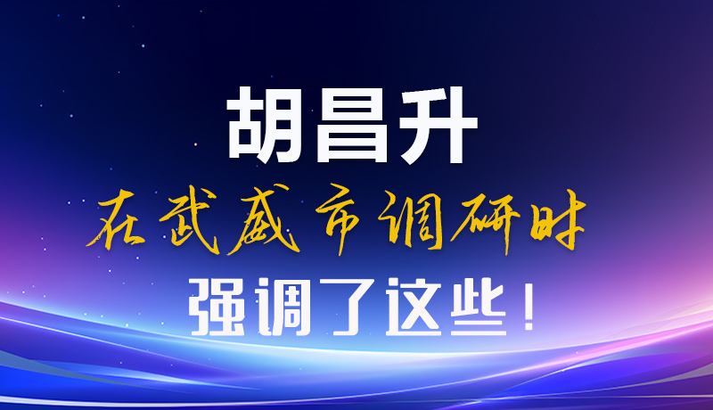 圖解|胡昌升在武威市調(diào)研時強調(diào)了這些！