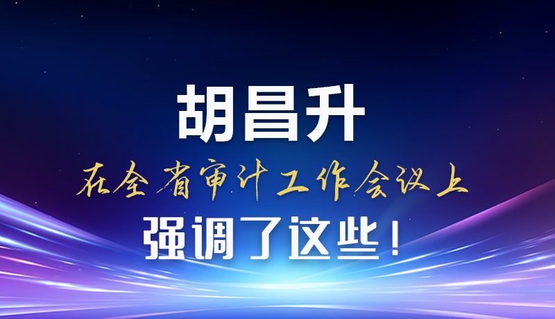 圖解|胡昌升在全省審計(jì)工作會(huì)議上強(qiáng)調(diào)了這些！