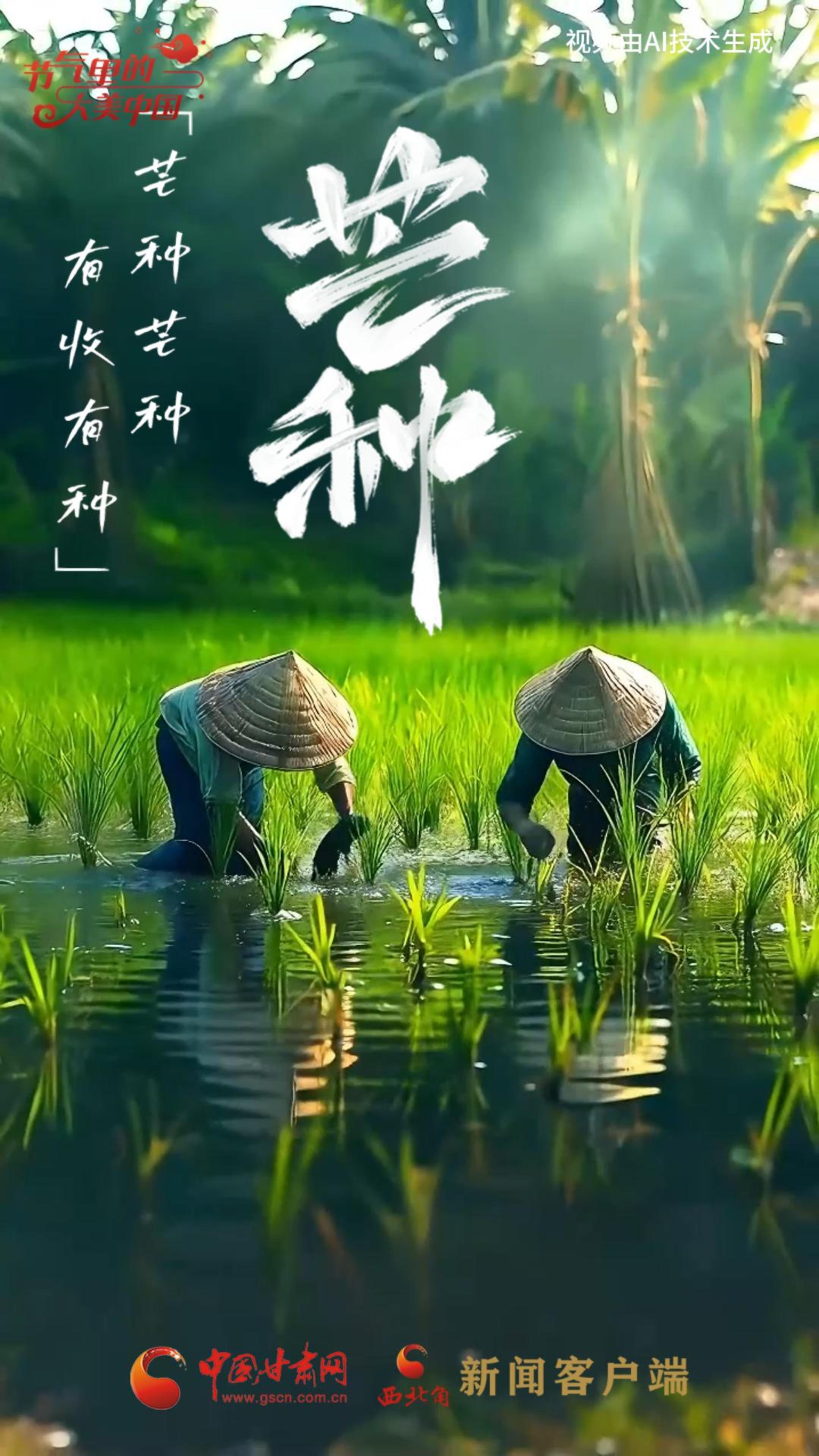 節(jié)氣里的大美甘肅|今日芒種：“芒”有所獲，“種”有所得