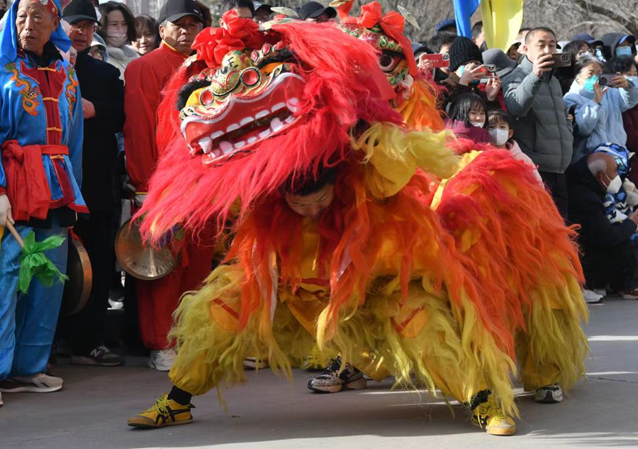 蘭州北獅表演現(xiàn)場(chǎng)。受訪者供圖