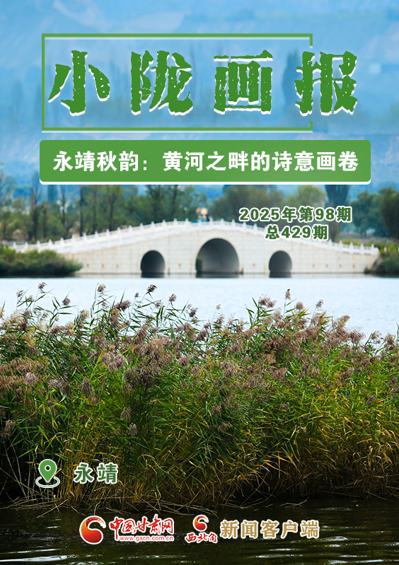 【小隴畫報·429期】永靖秋韻:黃河之畔的詩意畫卷