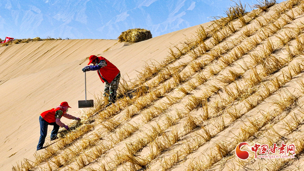 初冬時(shí)節(jié)巴丹吉林沙漠忙“鎖邊”